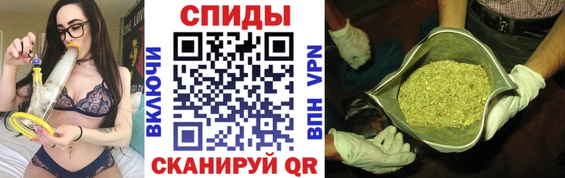 сколько стоит  Берёзовский  БУТИРАТ буратино 
